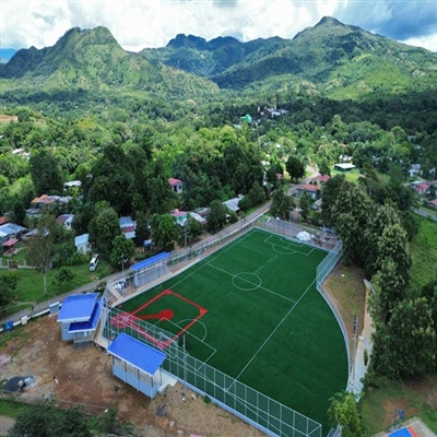 דשא רב ספורט למגרש כדורגל חיצוני ומגרש בייסבול